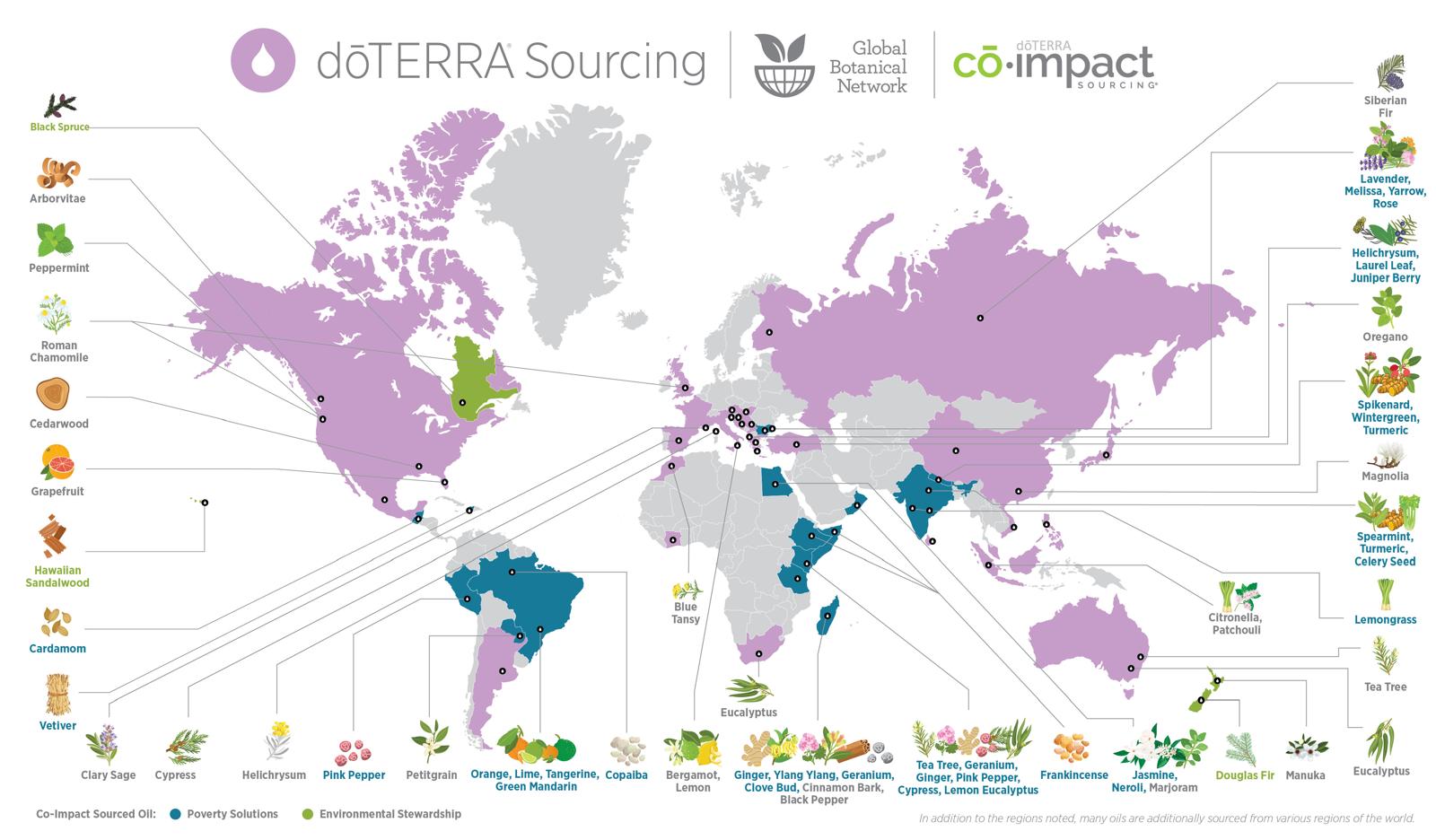 Un conseil, une idée, une envie... Je suis à votre écoute